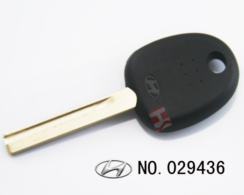 현대 이모빌키 케이스 (남아프리카 버전)